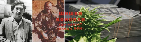 индика Майский