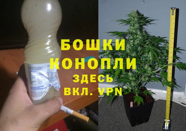 индика Майский