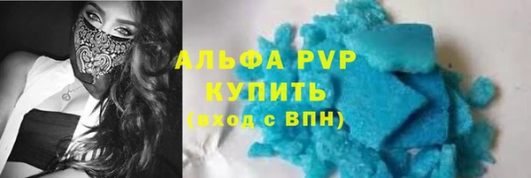 индика Майский