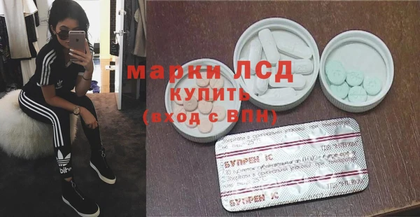 индика Майский