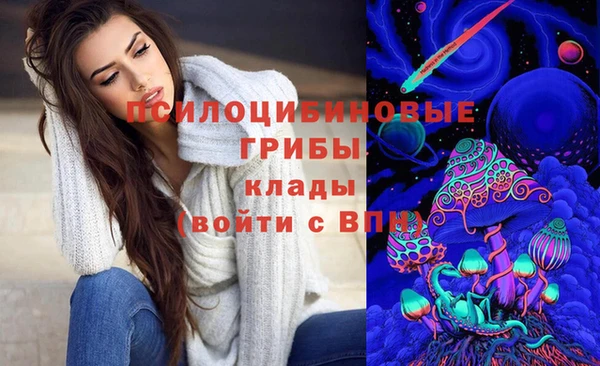 spice Магадан