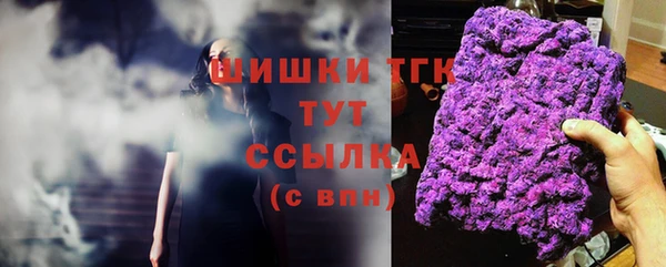индика Майский