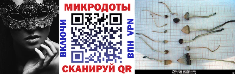 Галлюциногенные грибы мицелий  кракен сайт  Афипский  как найти закладки 
